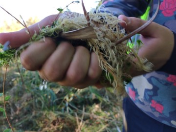 Relacja z rajdu rowerowego „Śladem Królewskich Łowów” 2025, 